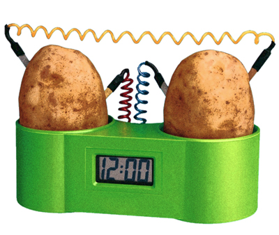 bulves ir komputeriai iliustracija