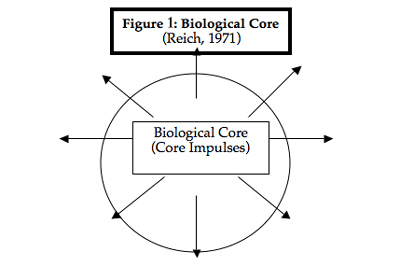 wilhelm reich sarvai 1