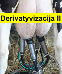 derivatyzacija 2